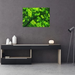 Obraz - Detal liścia (70x50 cm)