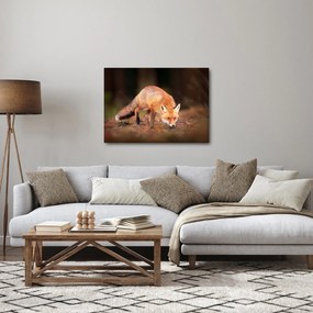 Obraz - Lis w lesie (70x50 cm)