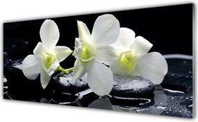 Panel nad blat kuchenny Szlachetny Różowy Storczyk