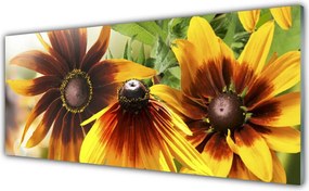 Dekor Szklany do Kuchni Pastelowy Ogród Botaniczny