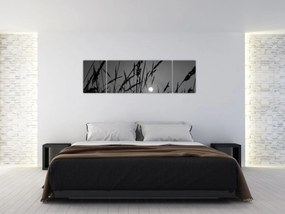 Obraz - Łąka z zachodem słońca (170x50 cm)