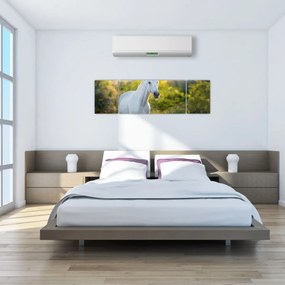Obraz białego konia na łące (170x50 cm)