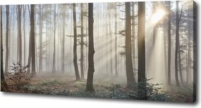 Duży Foto obraz na płótnie Mgła w lesie