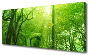 Obraz na Płótnie Drzewa Natura