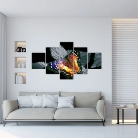 Obraz motyla (125x70 cm)