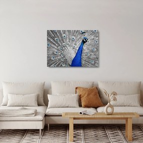 Obraz na szkle - niebieski paw (70x50 cm)