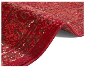 Czerwony dywan Hanse Home Celebration Plume, 160x230 cm