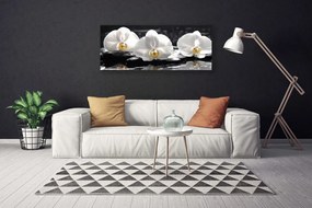 Obraz canvas Subtelny Biały Storczyk