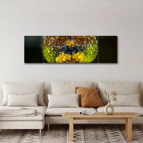 Szczegółowy obraz oczu owadów (170x50 cm)