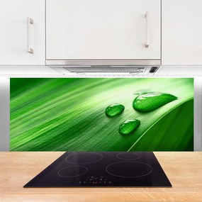 Panel Szklany do Kuchni Perlista Rosa Na Liściu