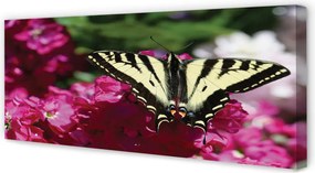 Obraz canvas na ścianę Kwiaty i Motyl