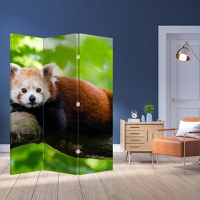 Parawan - Panda czerwona (126x170 cm)
