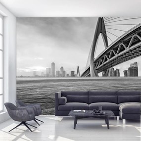 Fototapeta - Zachód Słońca w Chongqing, czarno - biała (196x136 cm)