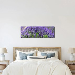 Obraz - lawenda (z zegarem) (90x30 cm)