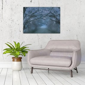 Obraz lasu we mgle (70x50 cm)