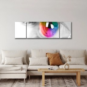 Obraz - Irys (170x50 cm)