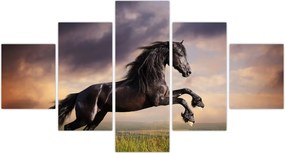 Obraz - Konie (125x70 cm)