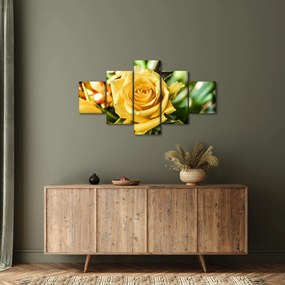 Obraz róży (125x70 cm)