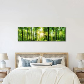 Obraz - Świt w lesie (170x50 cm)