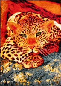 Dywan Koloreo Dzikie Safari 120x170 Prostokąt