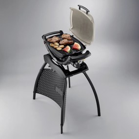 Grill gazowy Q1000 ze stojakiem WEBER 50060375