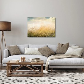 Obraz na szkle - Pole jesienią (70x50 cm)