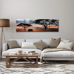 Obraz - Park Narodowy Serengeti, Tanzania, Afryka (170x50 cm)
