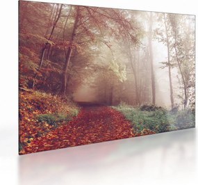 Obraz na szkle - Jesienny spacer po lesie (70x50 cm)