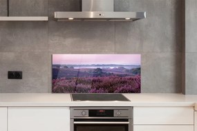 Szklany Panel Natura: Pole Wrzosów