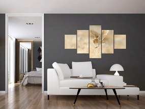 Obraz - Sowa Płomykówka (125x70 cm)