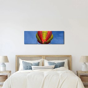 Obraz latającego balonu (z zegarem) (90x30 cm)