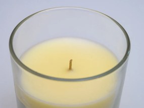 Świeca w szkle MINNESOTA AMATISTA CREAM 8 cm kremowa