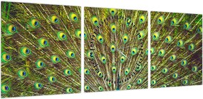 Obraz - Paw (z zegarem) (90x30 cm)